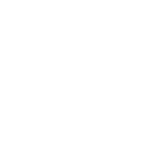 ARMAMENTO SEMIAUTOMÁTICO